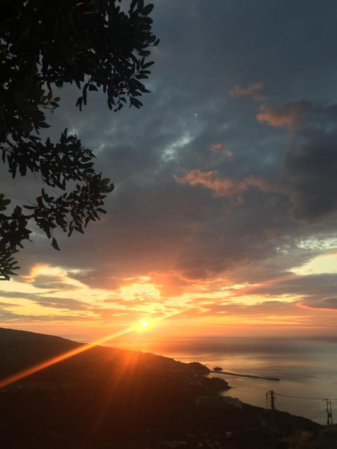 Kouklospito Αθήνα Εξωτερικό φωτογραφία